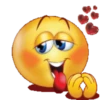 EMOJI SAPECAGENS 13