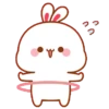 Kelinci gemoy  10