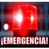 GIFs Atenção 🚨 19