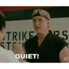TRIKE S STE QUIET! NET