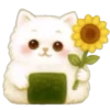 Gato Onigiri verano 🐈🍙 7