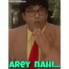 Shaktiman  13