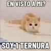 NO ME DEJES EN VISTO ✔️✔️😾 8