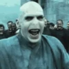 GIFs Harry Potter 5