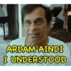 Brahmi 17