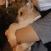 Reacciones gatunas random🐈🐈‍⬛ 6