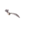 How To Train Your Dragon GIF 10
