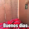 Monitos movimiento 2  7