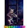 BUONANOTTE BUONGIORNO  10