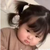 Tao tao 15