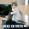 NO ME DEJES EN VISTO ✔️✔️😾 12