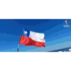 🌎 copa américa 2024🏆 9