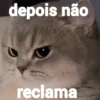 Memes figurinhas  28