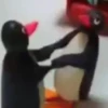 Pingu 🐧 8