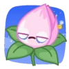 Flowers 14