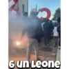 6 un Leone