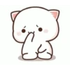 Gif kucing terbaru 8