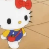 Hello Kitty🐱🩷✨ 11