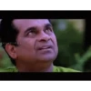 Brahmi 23