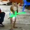 Monos changuitos 2 🦧🐒🦍 30