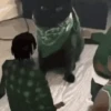 ANIMADAS GALERA 8