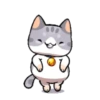 Gato bailando 14