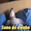 REAÇÕES DIÁRIAS 14