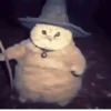 🐱 Cheeseball | The Wizard Cat 29