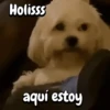 Holisss aquí estoy