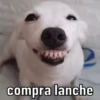 Selecionadas para você: 13