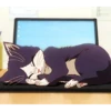 Cat anime 15