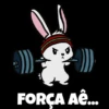 Gym - 2 23