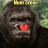 "Macaquin" boladão kkk 14