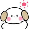 Cute Dog ✨🐶❤ 15