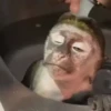 🐒 Monos divertidos random 🐒🐒 8