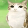 ᱙᱙   ˳   Meowl   ׅ   𐀴᷼𐀴 26