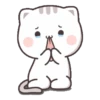 Kucing gemoyy 5