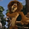 Madagascar GIFs 20
