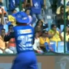 Cricket Animated 9
