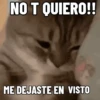 NO ME DEJES EN VISTO ✔️✔️😾 11