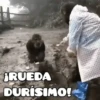 🦧Monkeys🦍Monos🐒Changos 9