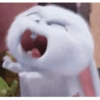 Angry reactions 15