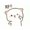 Dudu bubu 19