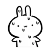 Tantrum Rabbit 10