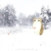 ᱙᱙   ˳   Meowl   ׅ   𐀴᷼𐀴 17