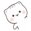 Kucing gemoyy 17