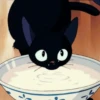 Cat anime 18