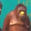 Monos changuitos 2 🦧🐒🦍 18