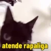 atende rapaliga