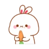 The little bunny 3 8